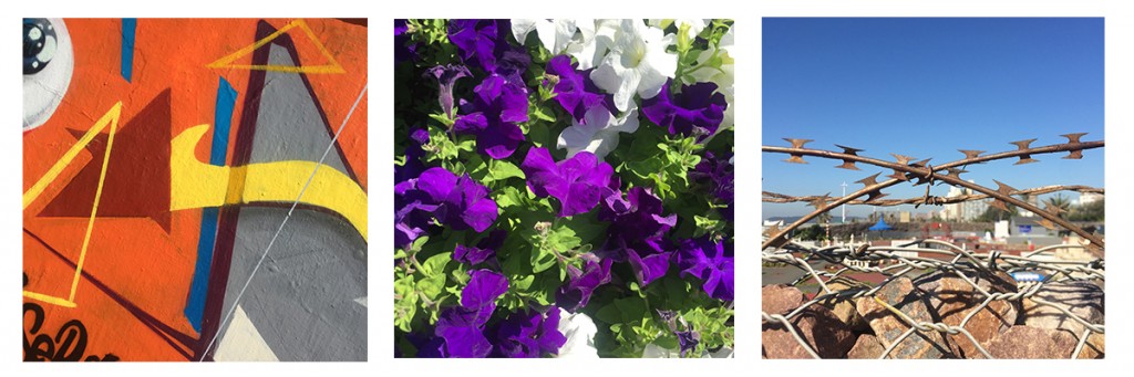 Instawalk 2
